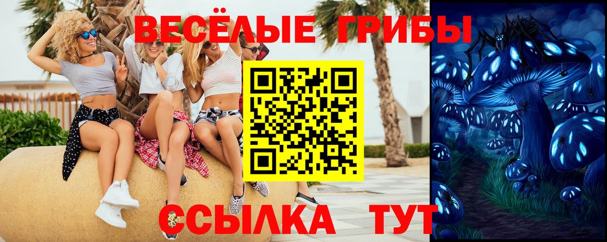 Псилоцибиновые грибы Psilocybine cubensis Каменск-Уральский